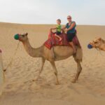 Morning Safari With Camel Ride Transportation And Logistics