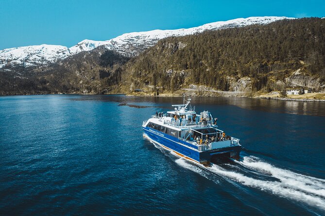 Mostraumen Fjord Cruise - Overview of the Cruise