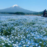 Mount Fuji And Lake Kawaguchiko Tour With English Guide Tour Overview