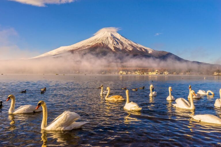 Mount Fuji: Exclusive Private Car Tour Tour Overview And Pricing