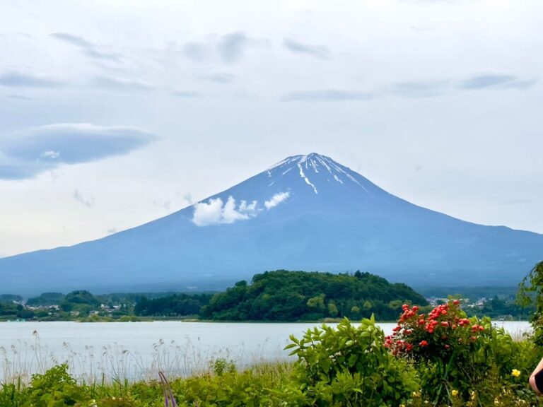 Mount Fuji Hakone With English Speaking Guide Tour Overview And Pricing