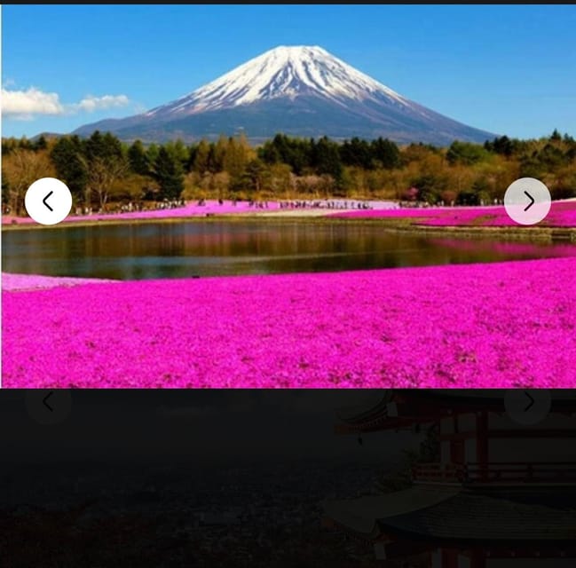 Mount Fuji Sightseeing Private Tour English Speaking Guide - Tour Overview