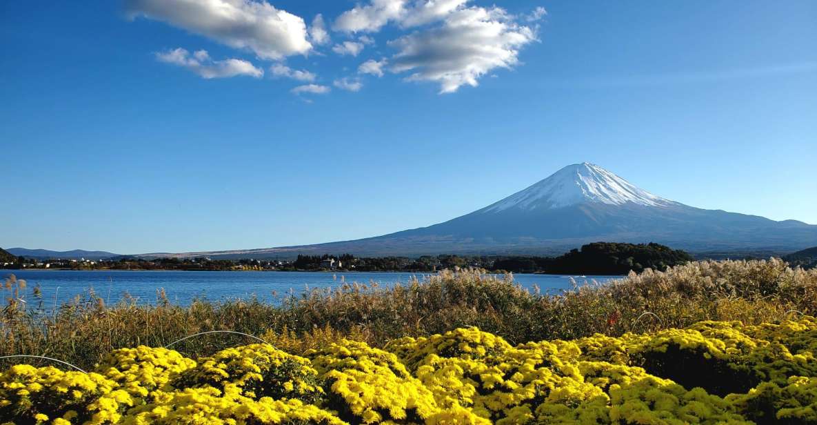 Mt Fuji: Full Day Private Tour With English Guide - Tour Overview