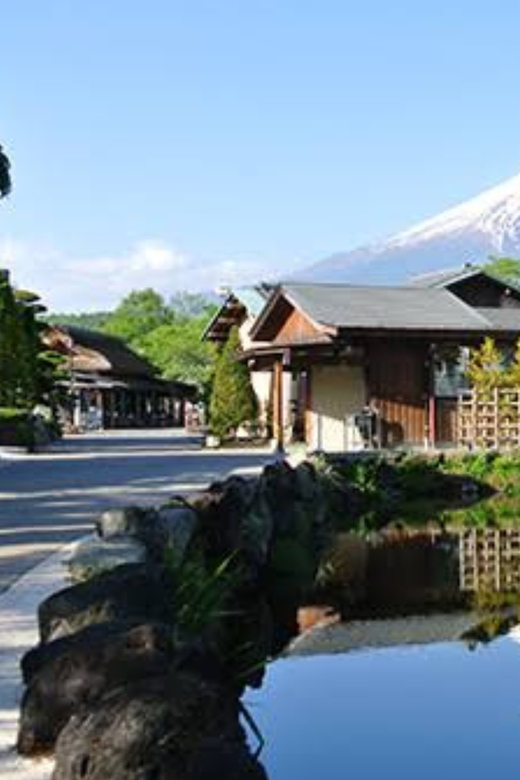 Mt. Fuji & Hakone: Exclusive Day Trip From Tokyo - Accessibility and Group Information