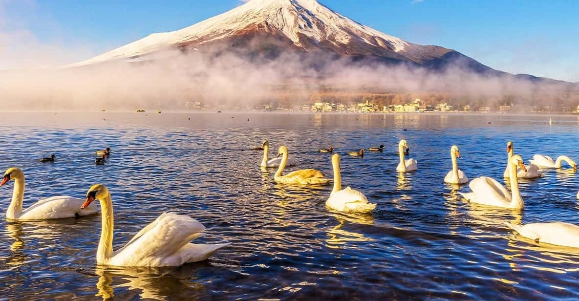 Mt.Fuji: Oshino Hakkai, Hakone, Owakudani Cable Car Day Trip - Tour Overview and Pricing