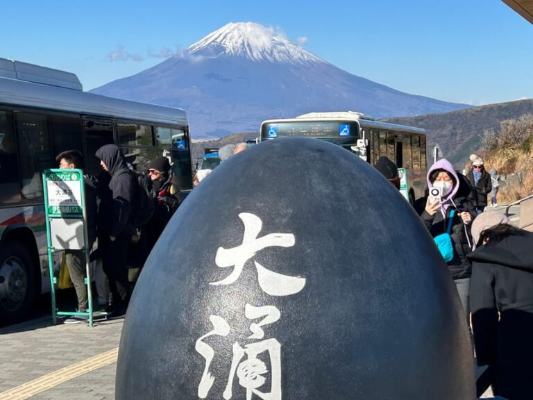 Mt.fuji&hakone Tour, Tokyo/yokohama ⇒ Tokyo, 2 4 Guests Tour Overview