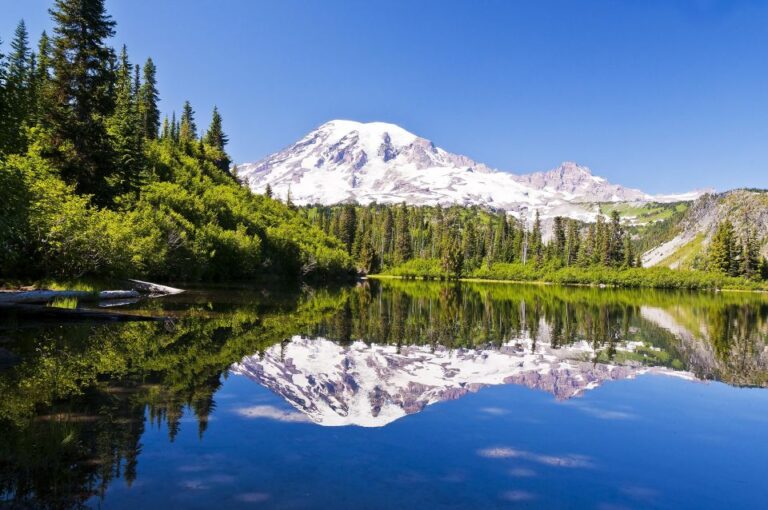 Mt Rainier, Seattle, & Olympic Np Self Guided Audio Tours Tour Overview And Pricing