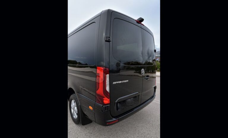 Mykonos Private Vip Minibus Transfer Up To 11 Passengers Service Overview