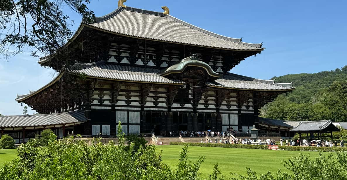 Nara: Tohdaiji Temple Experience Review - Overview of the Experience