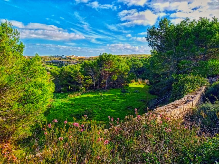 Nature Highlights Private Walking Tour With Transport - Tour Overview