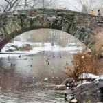 New York City: Home Alone 2 And Elf Tour In Central Park Tour Overview