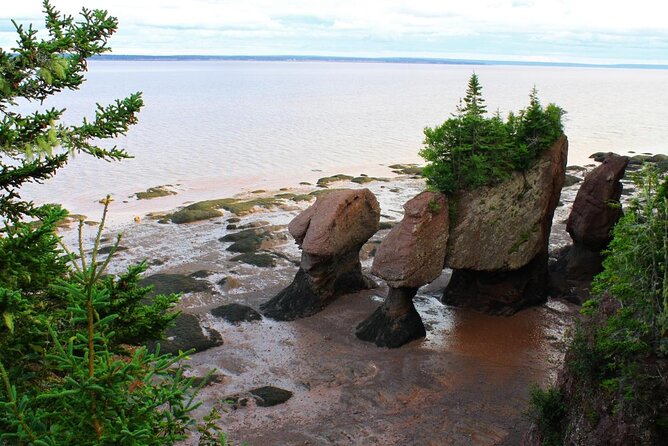 Nova Scotia Day Tour Visit Peggys Cove, Lunenburg, And The Annapolis Valley. Overview Of The Tour