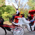 Nyc: Guided Standard Central Park Carriage Ride (4 Adults) Overview Of The Carriage Ride