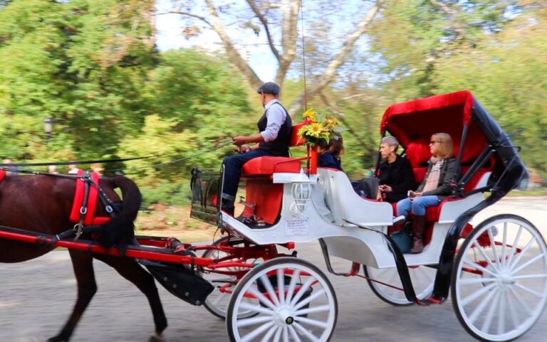 Nyc: Guided Standard Central Park Carriage Ride (4 Adults) Overview Of The Carriage Ride