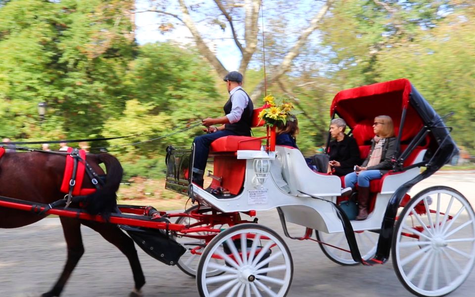 NYC: Guided Standard Central Park Carriage Ride (4 Adults) - Overview of the Carriage Ride