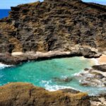 Oahu Circle Island North Shore Snorkeling Tour (dole & Temple) Tour Overview