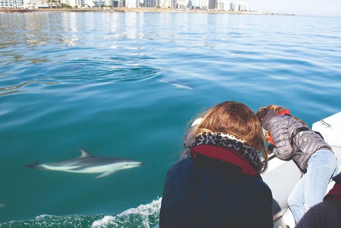 Ocean Wildlife Encounter in Cape Town - Learning About Aquatic Life