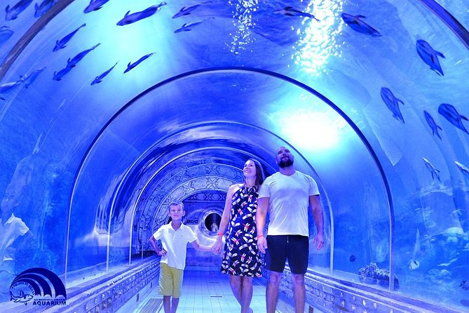 Official Account: Hurghada Grand Aquarium Entrance Tickets Location And Hours Of Operation