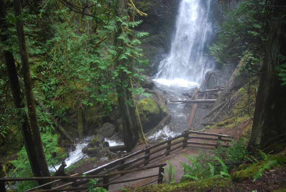 Olympic National Park: Sol Duc and Hurricane Ridge Tour - Overview of the Tour