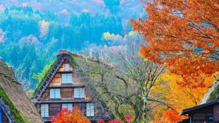 One Day Private Tour To Shirakawa Go & Takayama Tour Overview