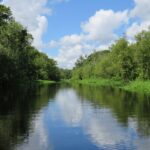 Orlando: Small Group Manatee Discovery Kayak Tour Tour Overview