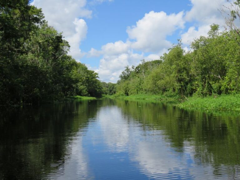 Orlando: Small Group Manatee Discovery Kayak Tour Tour Overview