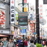 Osaka: Explore In Luxury, Private Guided Tour With A Car Tour Highlights