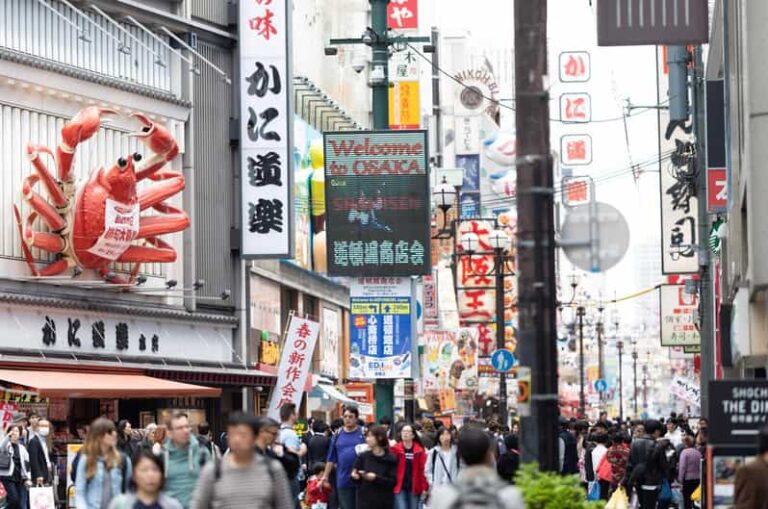 Osaka: Explore In Luxury, Private Guided Tour With A Car Tour Highlights