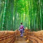 Osaka/kyoto: Sanzenin, Arashiyama Train, Bamboo Forest Trip Itinerary And Locations