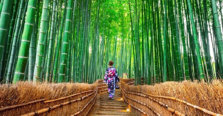 Osaka/kyoto: Sanzenin, Arashiyama Train, Bamboo Forest Trip Itinerary And Locations