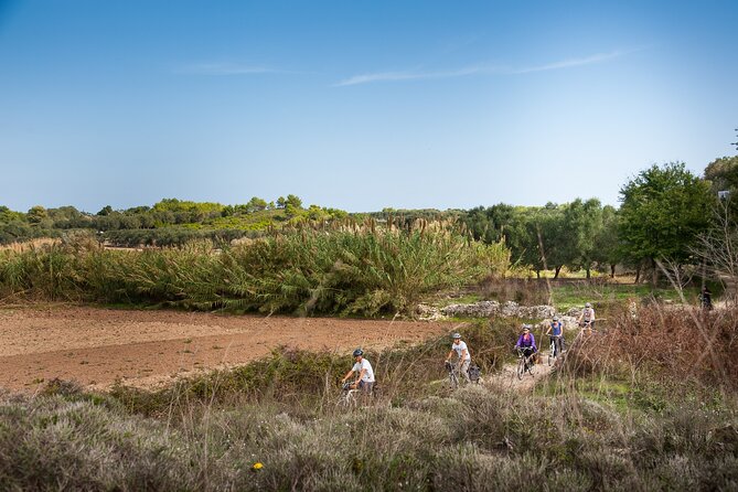 Otranto and Surroundings Full-Day Bike Tour - Included Features