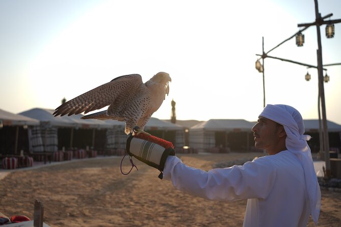 Overnight Desert Experience With Safari and BBQ Dinner - Highlights of the Tour