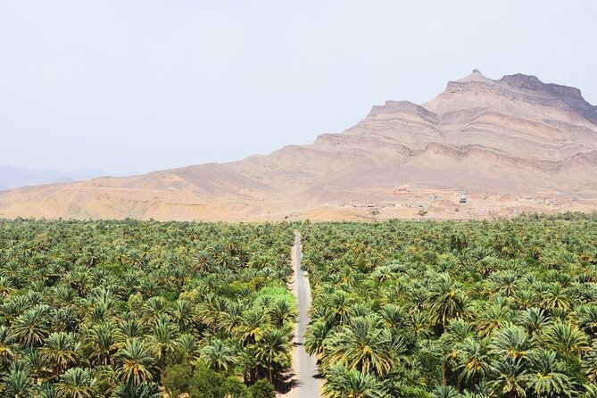 Overnight Desert Tour From Marrakech To Zagora Overview Of The Tour