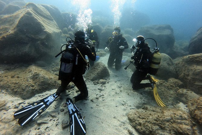 PADI Open Water Course in Costa Adeje - Course Overview