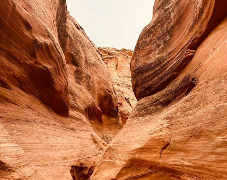 Page: Mountain Sheep Slot Canyon Guided Hiking Tour Tour Details