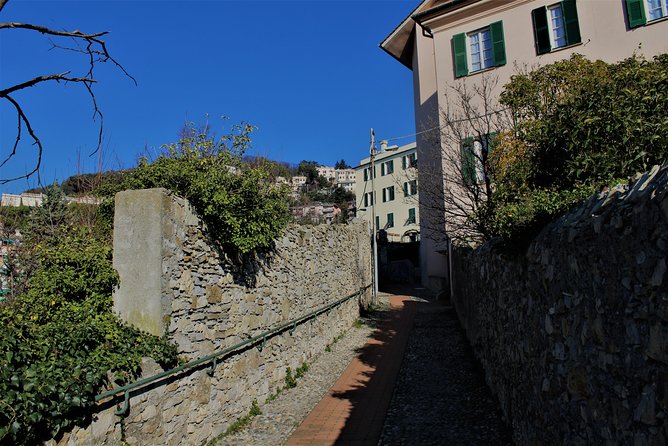 Panoramic Tour Across the Creuze With a Storyteller - Tour Overview