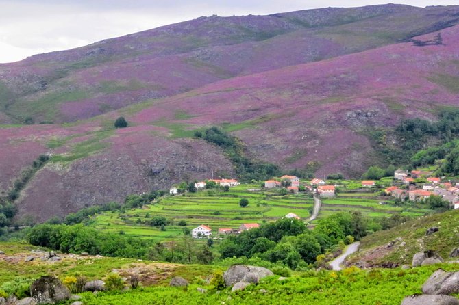 Peneda Gerês Hiking & Sightseeing: Private Experience Exploring Old Roman Roads