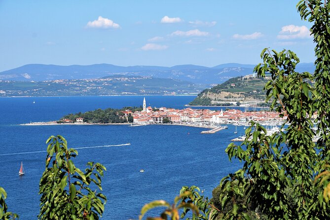 Piran & Panoramic Slovenian Coast From Trieste - Tour Details