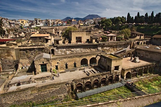 Pompeii, Herculaneum and Naples From Naples - Tour Overview