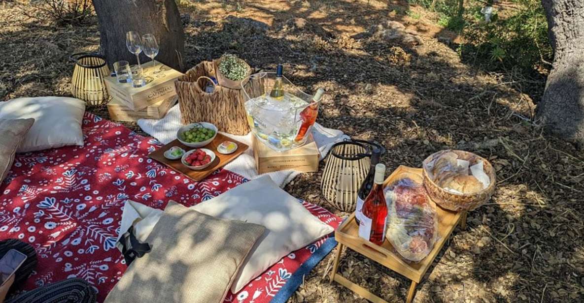 Porches: Vineyard Picnic Experience in the Algarve - Romantic Vineyard Setting