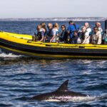 Portimão: 2 Hour Dolphin Watching Boat Tour Tour Overview