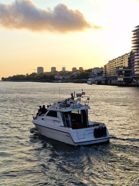 Porto: 6 Bridges City Cruise With Sunset Option Tour Overview And Pricing