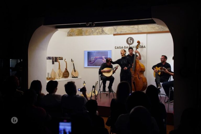 Porto: Fado Show With Port Wine Experience Overview