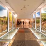 Porto: The Wine Experience Entry Ticket & Tasting At Wow Ticket Information