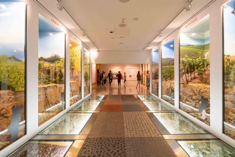 Porto: The Wine Experience Entry Ticket & Tasting At Wow Ticket Information