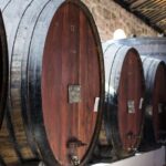 Porto: Wine Cellar Entry, Train Tour & Optional River Cruise Activity Overview