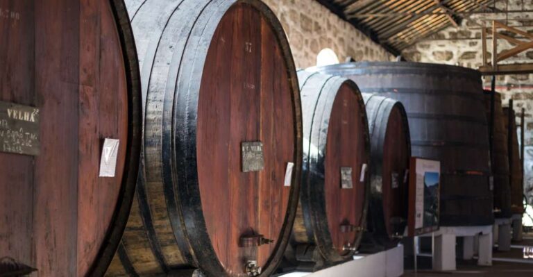 Porto: Wine Cellar Entry, Train Tour & Optional River Cruise Activity Overview