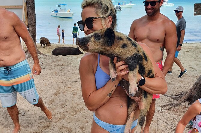 Powerboat And Snorkel Experience With Swimming Pigs And Turtles Tour Overview