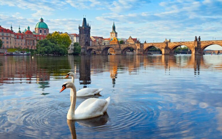 Prague: Scavenger Hunt Self Guided Tour Tour Overview And Pricing