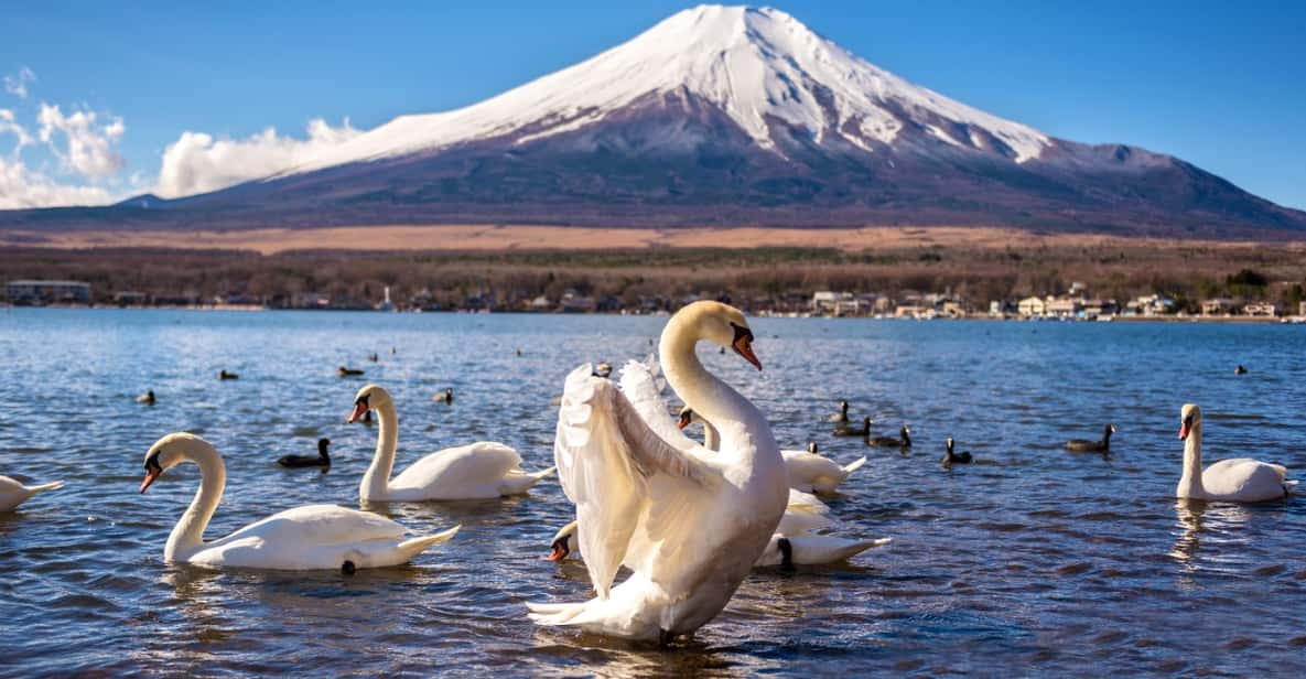 Private Charter Car One Day Trip for Mt Fuji - Experience Highlights